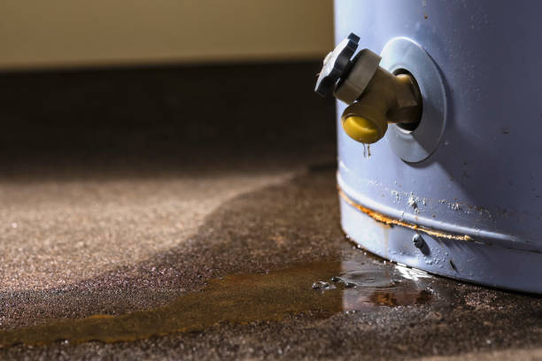 Best Sewage cleanup and water damage restoration  in Gunnison, UT