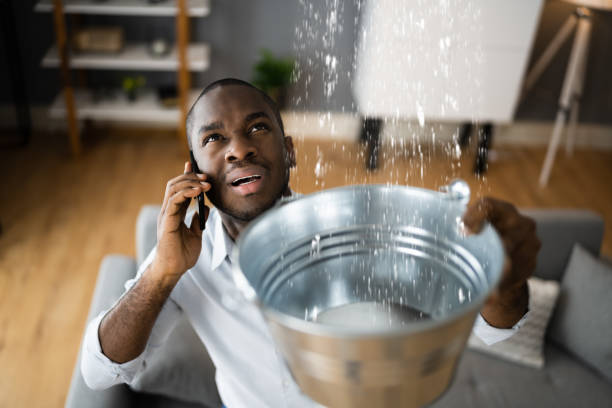 Best Flooded house restoration  in Gunnison, UT