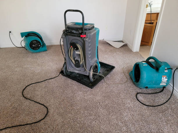 Best Fire Damage Restoration  in Gunnison, UT