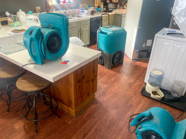 Best Water damage contractors near me  in Gunnison, UT