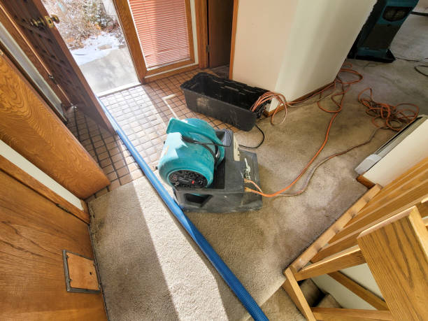 Water damage restoration mold remediation in UT