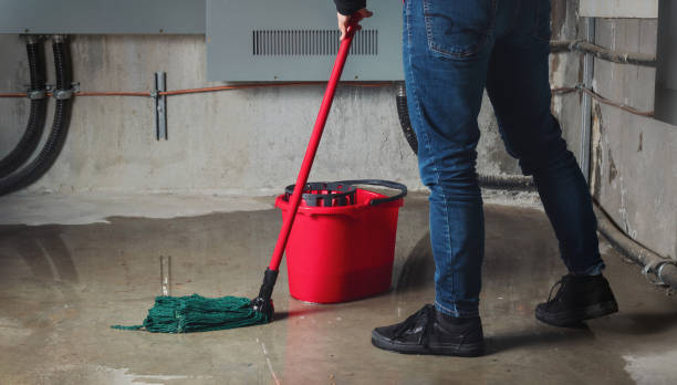 Best Flood damage cleanup  in Gunnison, UT
