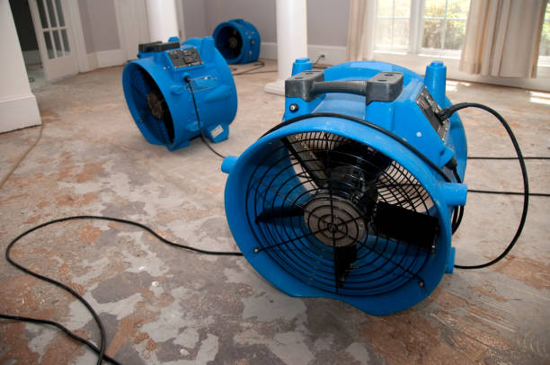 Best Water damage restoration near me  in Gunnison, UT