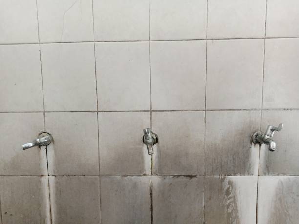 Best Water damage restoration services  in Gunnison, UT