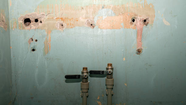 Best 24-hour water damage restoration  in Gunnison, UT