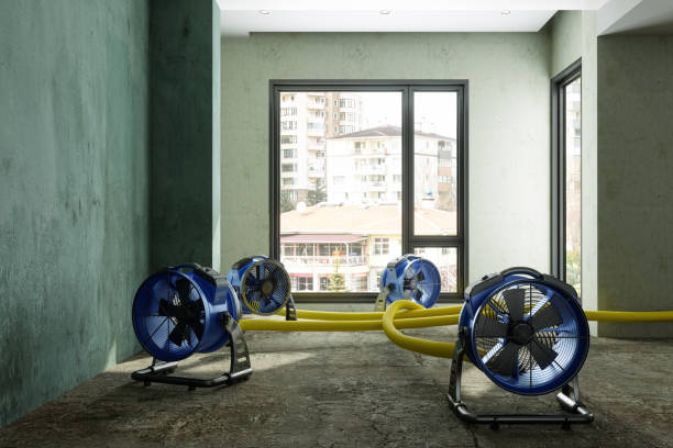 Best Flood restoration services  in Gunnison, UT